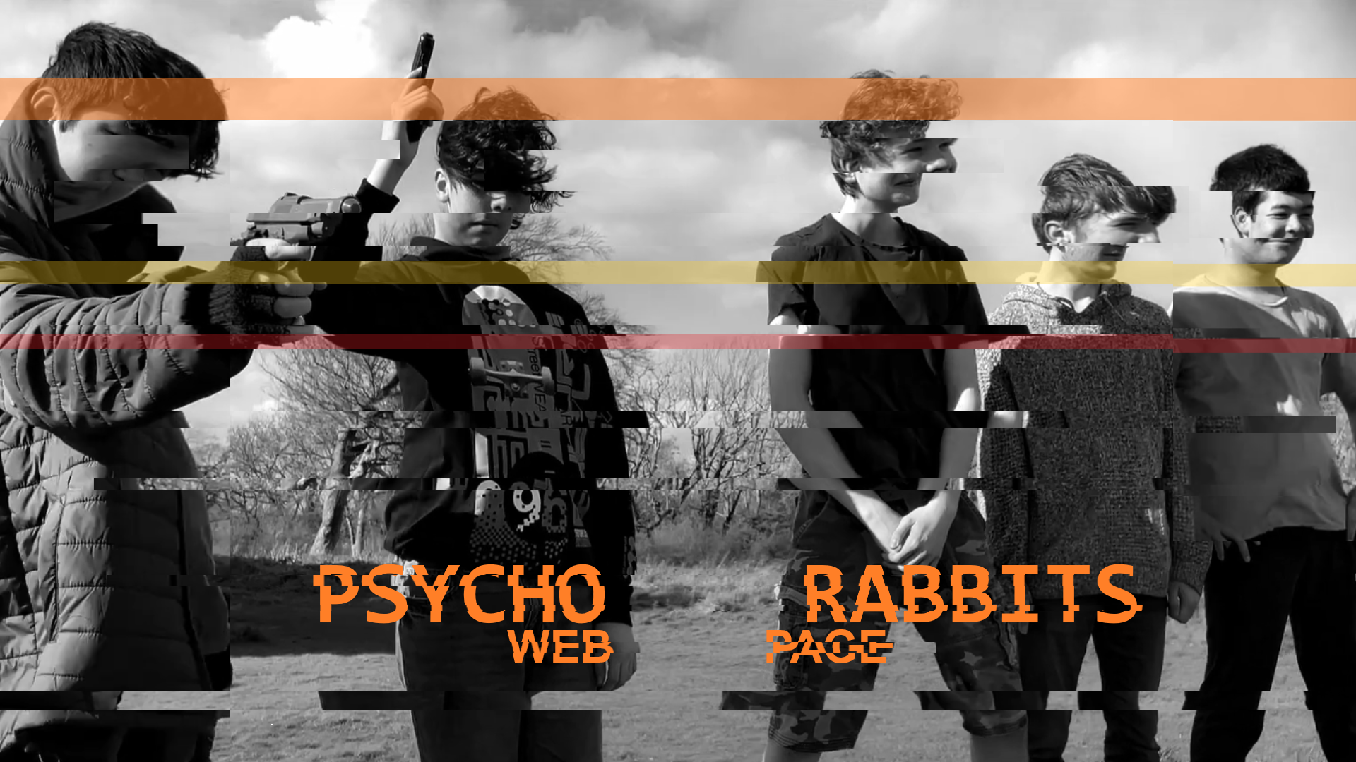 Psycho Rabbits