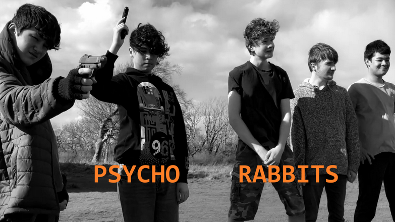 Psycho Rabbits